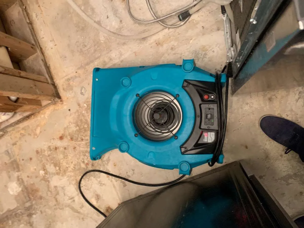 Air mover drying equipment for Mold Remediation & Removal in Hopewell